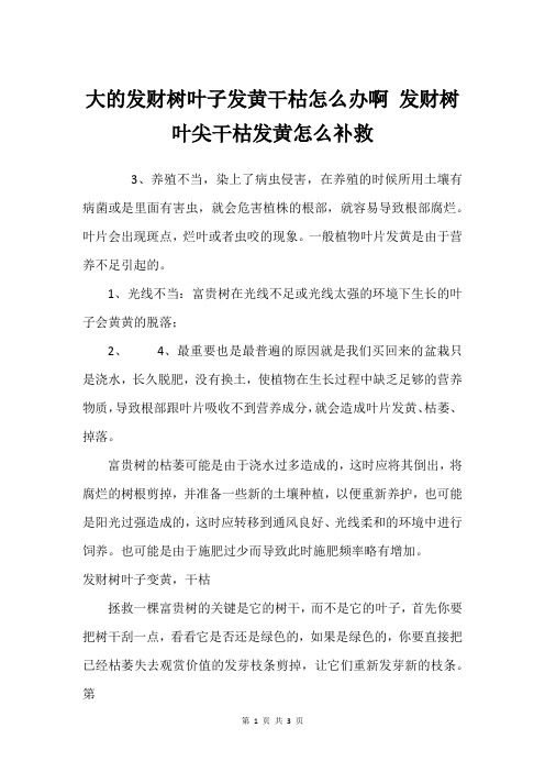 大的发财树叶子发黄干枯怎么办啊 发财树叶尖干枯发黄怎么补救