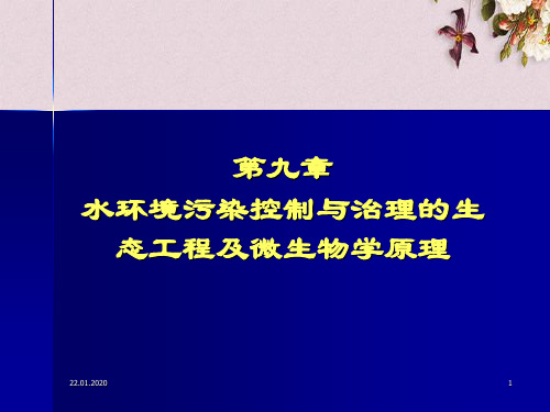 水环境污染控制与治理的生态工程及微生物学原理(ppt 82页)