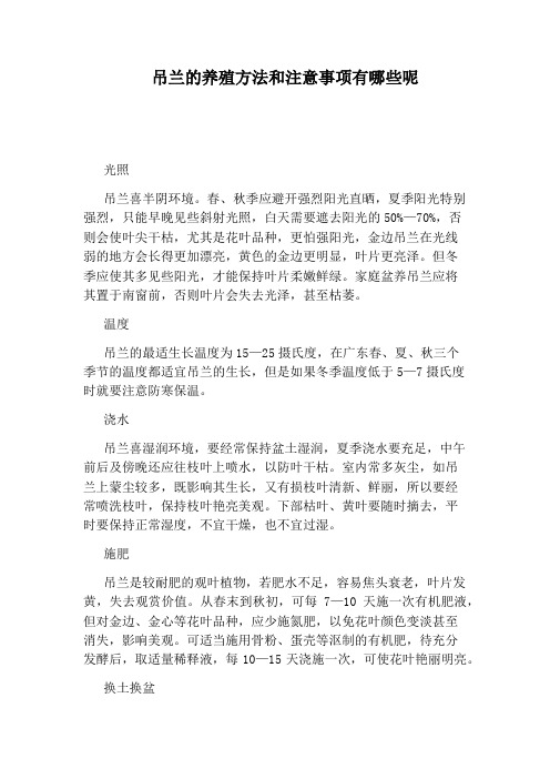 吊兰的养殖方法和注意事项有哪些呢