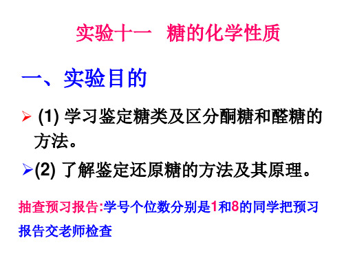 实验十一  糖的化学性质