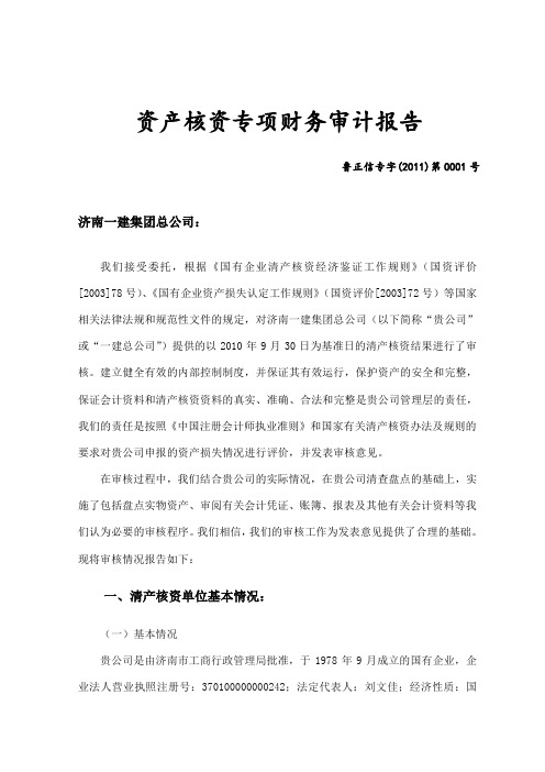 资产核资专项财务审计报告