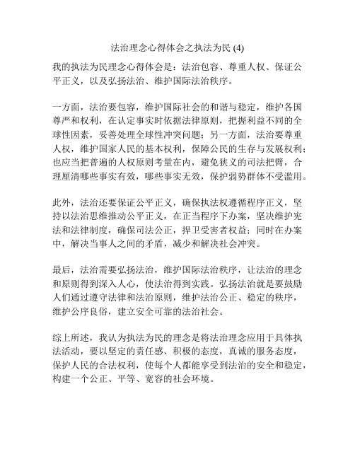 法治理念心得体会之执法为民 (4)