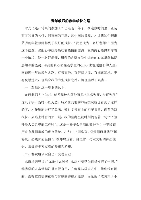 青年教师的教学成长之路