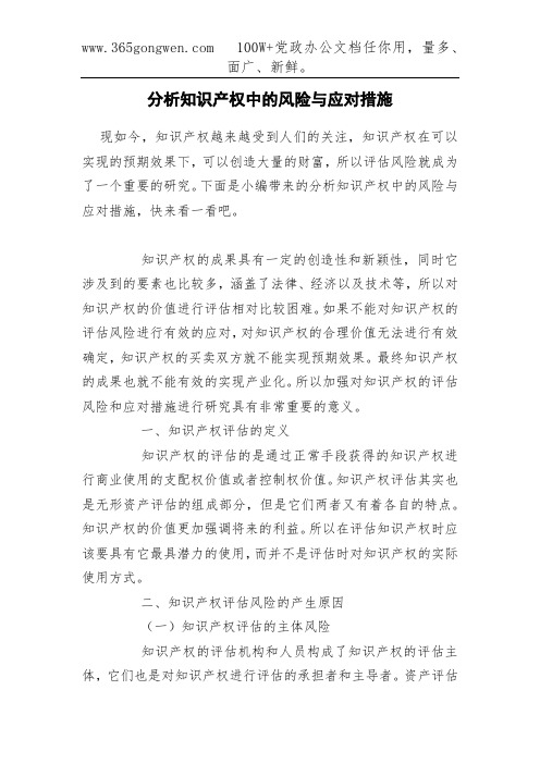 分析知识产权中的风险与应对措施