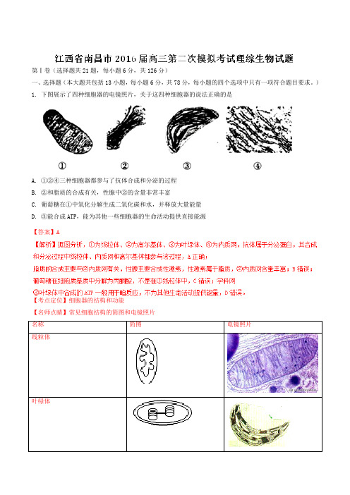 【全国市级联考】江西省南昌市2016届高三第二次模拟考试理综生物试题解析(解析版)