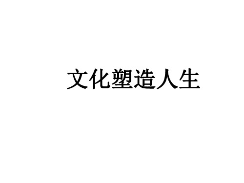 高二政治文化塑造人生