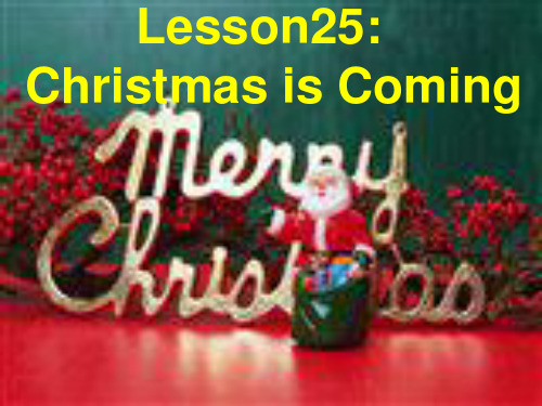 英语《Lesson25ChristmasisComing》