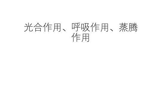 浙教版科学中考复习：光合作用、呼吸作用、蒸腾作用 (共56张PPT)