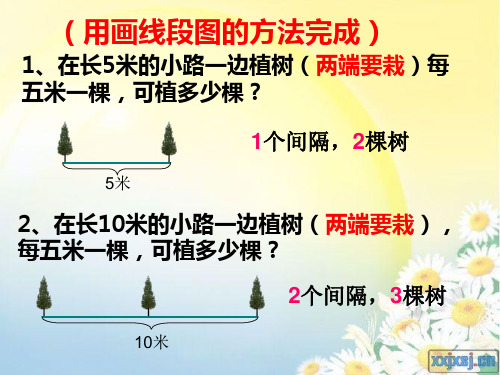 五年级数学上册数学广角植树问题