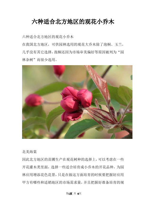 六种适合北方地区的观花小乔木