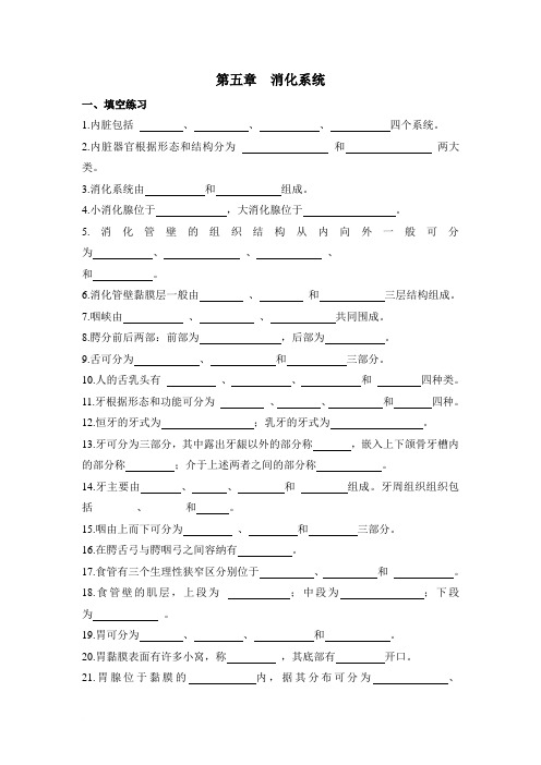 第五章 消化系统