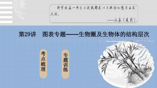 人教版中考生物复习《生物圈及生物体结构层次 》课件(共77张PPT)