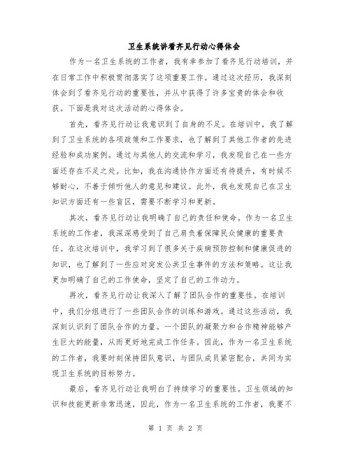 卫生系统讲看齐见行动心得体会
