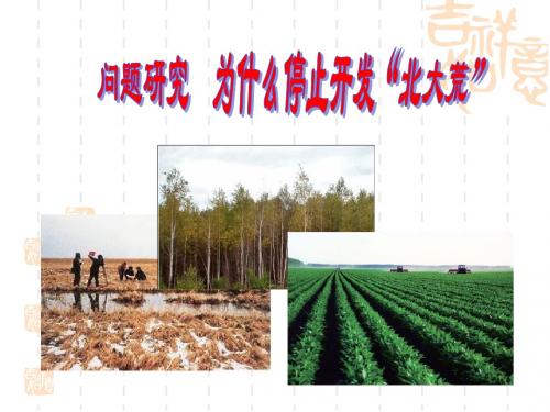 问题研究-为什么停止开发“北大荒”.ppt成品