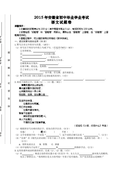 安徽合肥语文中考试题含答案