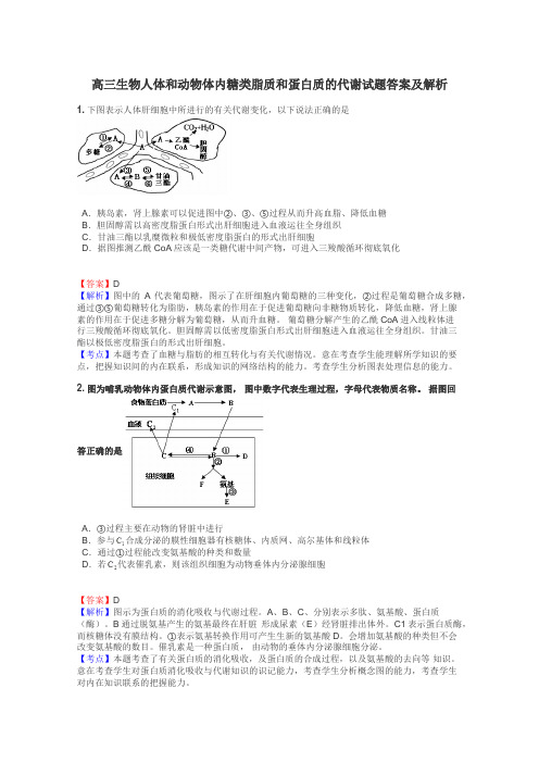 高三生物人体和动物体内糖类脂质和蛋白质的代谢试题答案及解析
