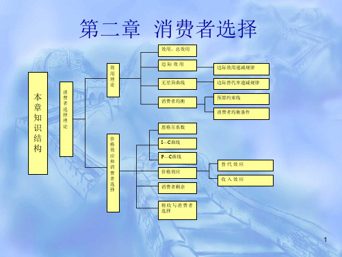 消费者选择PPT课件