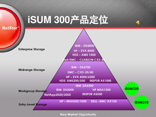 NetStor新产品简介