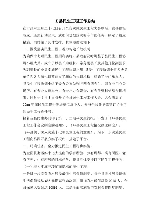 X县民生工程工作总结