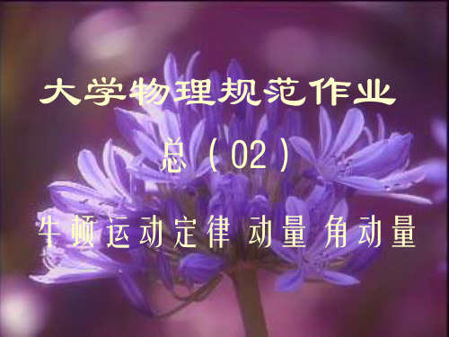 大学物理规范作业(本一)02解答(1)