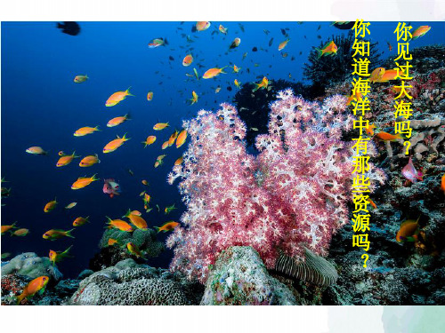 鲁教版化学九年级海洋化学资源 化学教学课件