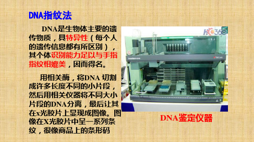 【公开课课件】遗传信息的携带者课件-2022-2023学年高一上学期生物人教版(2019)必修1