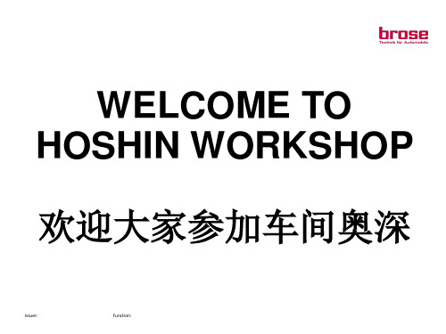 Hoshin Workshop