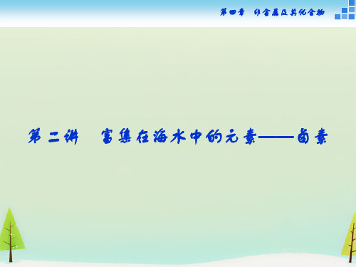 2016届高考化学一轮复习 第四章 第二讲 富集在海水中的元素-卤素课件