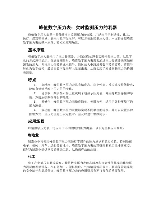 峰值数字压力表：实时监测压力的利器