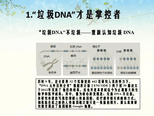 十大医学突破