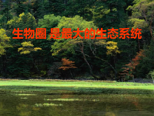 人教版七年级上册生物1.2.3《生物圈是最大的生态系统》 课件 (共30张PPT)