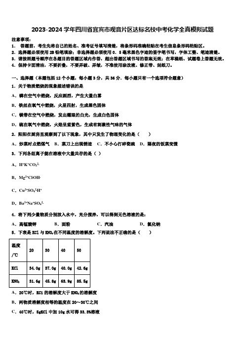 2023-2024学年四川省宜宾市观音片区达标名校中考化学全真模拟试题含解析