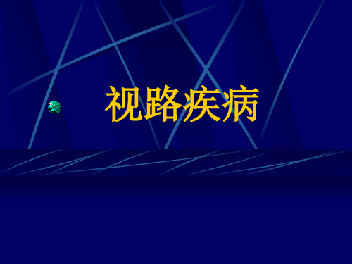 视神经及视路疾病