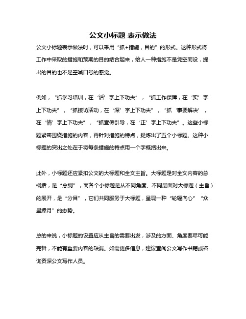 公文小标题 表示做法