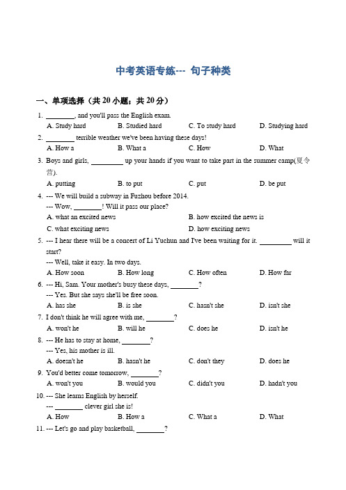 中考语法专练句子种类