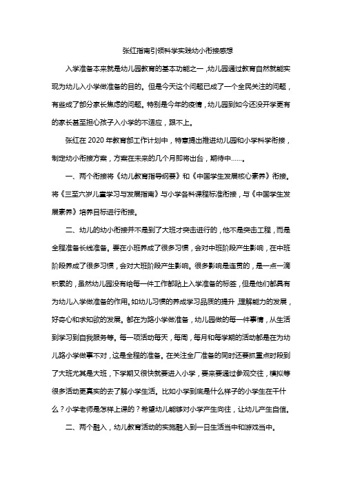 张红指南引领科学践行幼小衔接感想