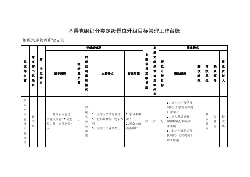 基层党组织分类定级晋位升级目标管理工作台账