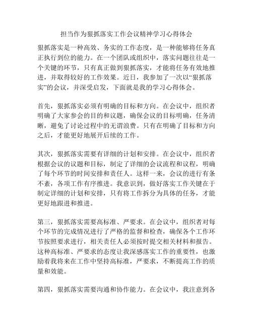 担当作为狠抓落实工作会议精神学习心得体会