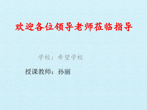 六年级数学四 统计与可能性 复习PPT课件