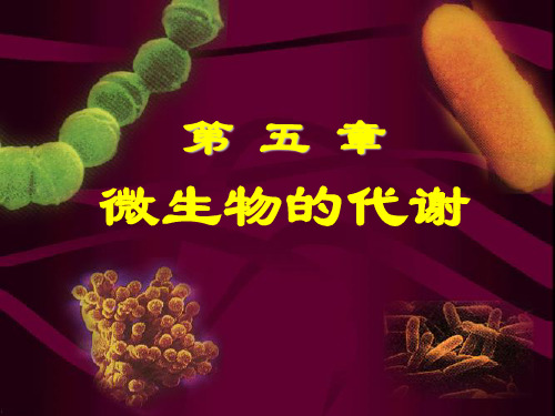 第五章微生物的代谢