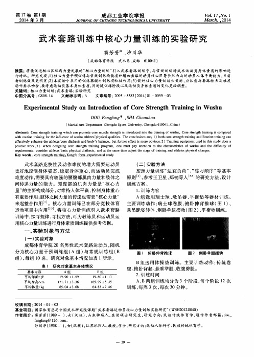 武术套路训练中核心力量训练的实验研究