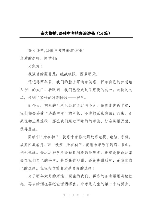 奋力拼搏,决胜中考精彩演讲稿(14篇)