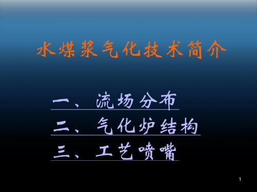 关于水煤浆气化技术的简介ppt课件