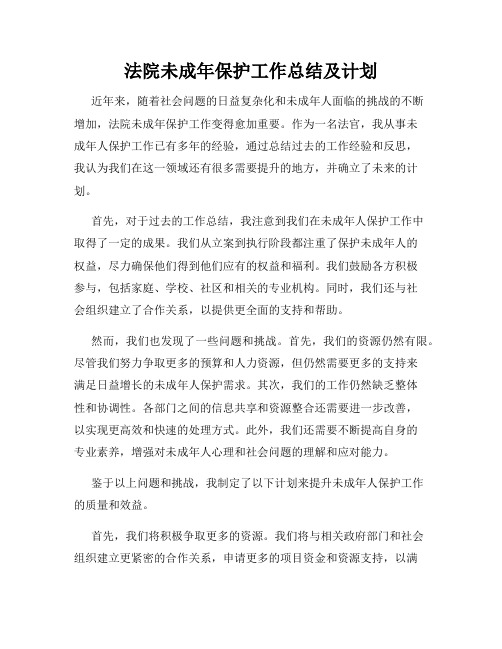 法院未成年保护工作总结及计划