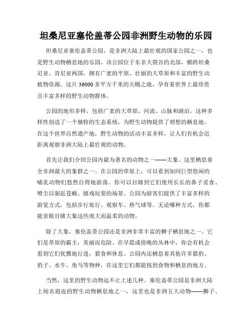 坦桑尼亚塞伦盖蒂公园非洲野生动物的乐园