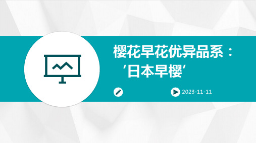 樱花早花优异品系：‘日本早樱’