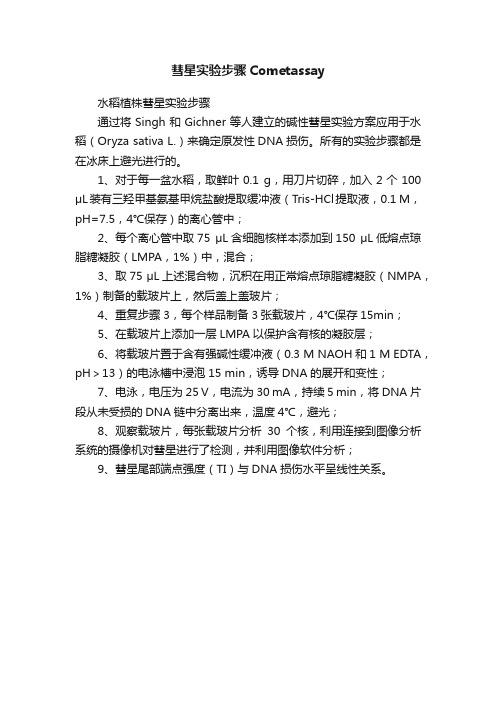 彗星实验步骤Cometassay