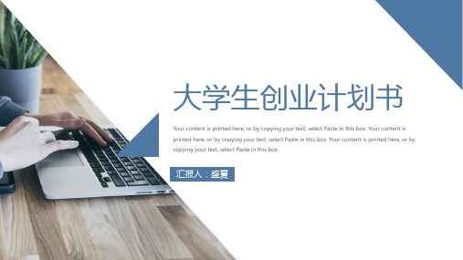 蓝色商务风大学生创业计划书