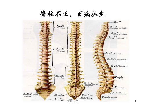 史上最全脊柱与疾病关系,并附歌诀[荟萃材料]