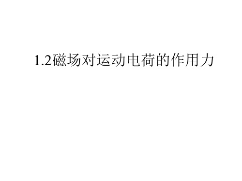 磁场对运动电荷的作用力 课件-高二下学期物理人教版(2019)选择性必修第二册